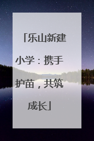 乐山新建小学：携手护苗，共筑成长