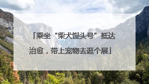 乘坐“柴犬馒头号”抵达治愈，带上宠物去逛个展