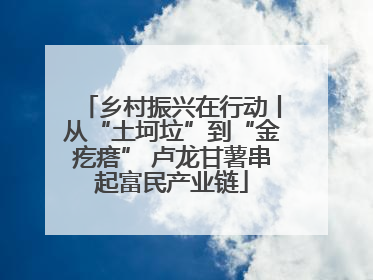 乡村振兴在行动丨从“土坷垃”到“金疙瘩” 卢龙甘薯串起富民产业链