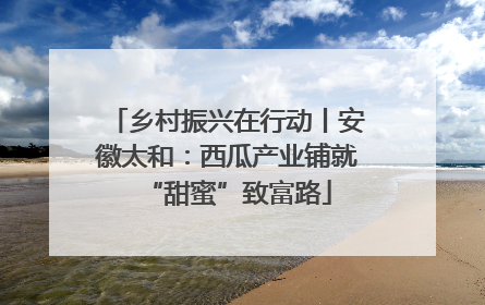 乡村振兴在行动丨安徽太和：西瓜产业铺就“甜蜜”致富路