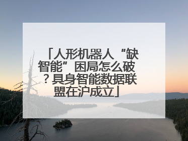 人形机器人“缺智能”困局怎么破？具身智能数据联盟在沪成立