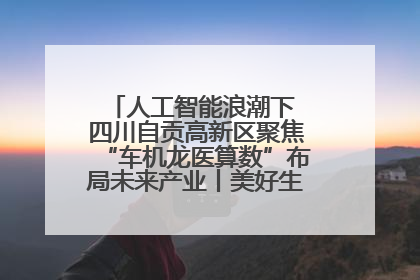 人工智能浪潮下 四川自贡高新区聚焦“车机龙医算数”布局未来产业丨美好生活有“盐”味