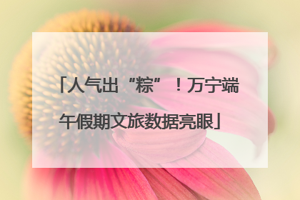 人气出“粽”！万宁端午假期文旅数据亮眼
