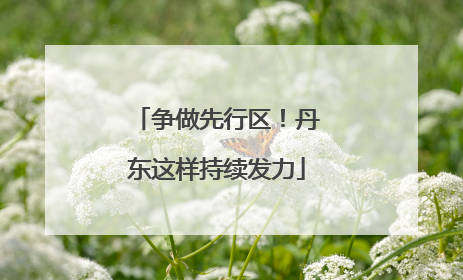 争做先行区！丹东这样持续发力