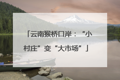 云南猴桥口岸：“小村庄”变“大市场”