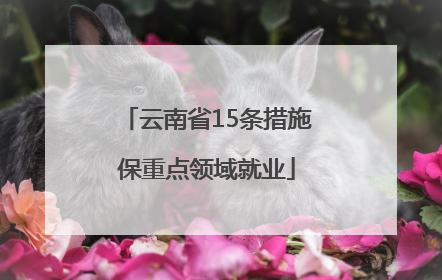 云南省15条措施保重点领域就业