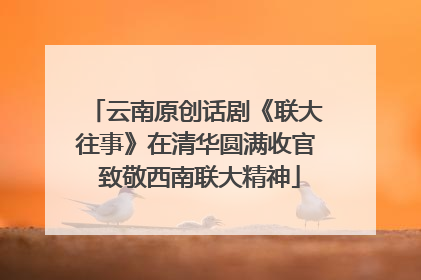 云南原创话剧《联大往事》在清华圆满收官 致敬西南联大精神