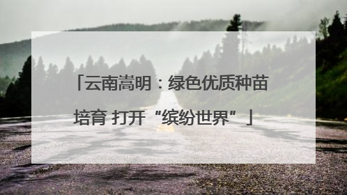 云南嵩明：绿色优质种苗培育 打开“缤纷世界”
