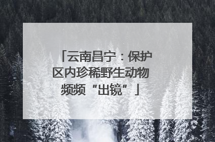 云南昌宁：保护区内珍稀野生动物频频“出镜”