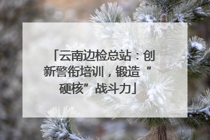 云南边检总站：创新警衔培训，锻造“硬核”战斗力
