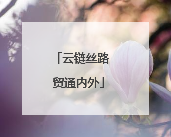 云链丝路 贸通内外