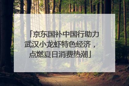 京东国补中国行助力武汉小龙虾特色经济，点燃夏日消费热潮