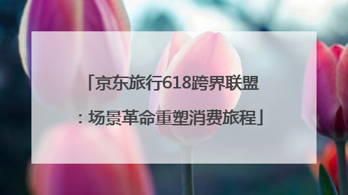 京东旅行618跨界联盟：场景革命重塑消费旅程