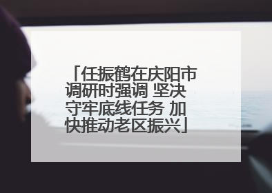 任振鹤在庆阳市调研时强调 坚决守牢底线任务 加快推动老区振兴