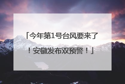 今年第1号台风要来了！安徽发布双预警！