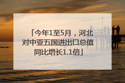 今年1至5月，河北对中亚五国进出口总值同比增长1.1倍