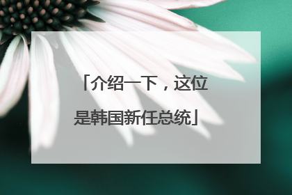介绍一下，这位是韩国新任总统