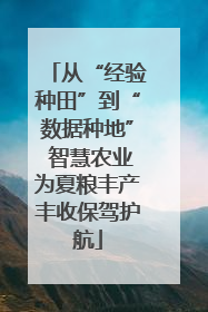 从“经验种田”到“数据种地” 智慧农业为夏粮丰产丰收保驾护航