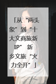 从“两头象”到“十大文商旅新IP” 新乡文旅“火力全开”