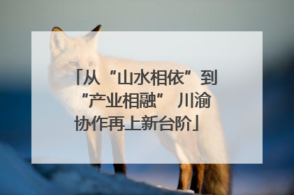 从“山水相依”到“产业相融” 川渝协作再上新台阶