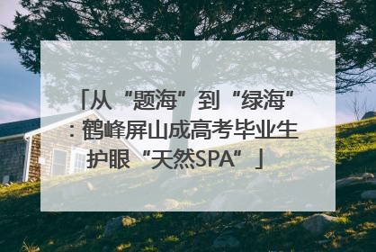 从“题海”到“绿海”：鹤峰屏山成高考毕业生护眼“天然SPA”