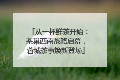 从一杯鲜茶开始：茶巢西南战略启幕，蓉城茶事焕新登场