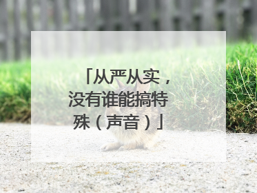 从严从实，没有谁能搞特殊（声音）
