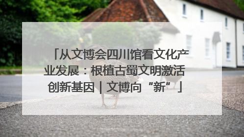 从文博会四川馆看文化产业发展：根植古蜀文明激活创新基因｜文博向“新”