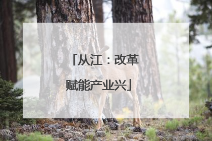 从江：改革赋能产业兴