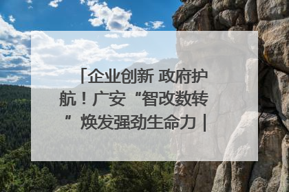 企业创新 政府护航！广安“智改数转”焕发强劲生命力｜市州焕新力