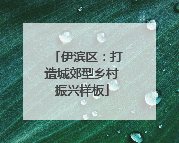 伊滨区：打造城郊型乡村振兴样板