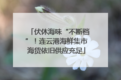 伏休海味“不断档”！连云港海鲜集市海货依旧供应充足