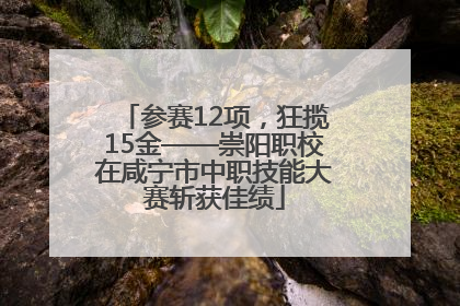 参赛12项，狂揽15金——崇阳职校在咸宁市中职技能大赛斩获佳绩