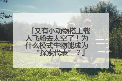 又有小动物搭上载人飞船去太空了！为什么模式生物能成为“探索代表”？