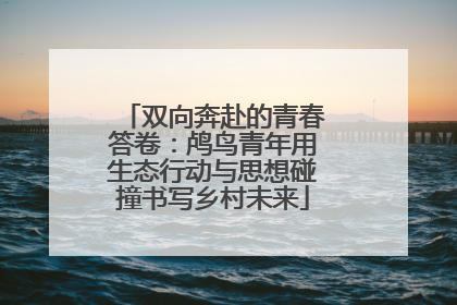 双向奔赴的青春答卷：鸬鸟青年用生态行动与思想碰撞书写乡村未来