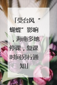 受台风“蝴蝶”影响，海南多地停课，复课时间另行通知
