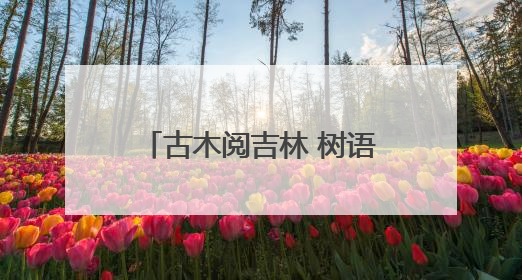 古木阅吉林 树语藏百年｜百余年沧桑岁月 如今它成为了“镇园之宝”