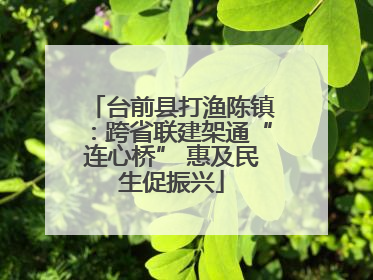 台前县打渔陈镇：跨省联建架通“连心桥” 惠及民生促振兴
