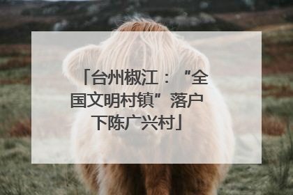 台州椒江：“全国文明村镇”落户下陈广兴村