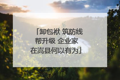 卸包袱 筑防线 帮升级 企业家在嵩县何以有为