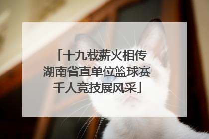 十九载薪火相传 湖南省直单位篮球赛千人竞技展风采