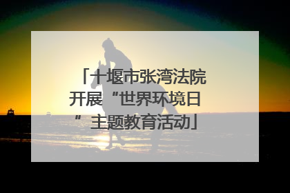 十堰市张湾法院开展“世界环境日”主题教育活动