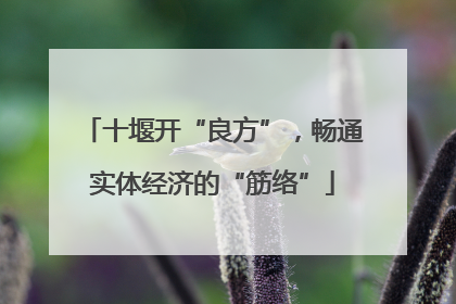 十堰开“良方”，畅通实体经济的“筋络”