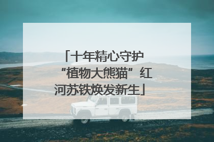 十年精心守护 “植物大熊猫”红河苏铁焕发新生