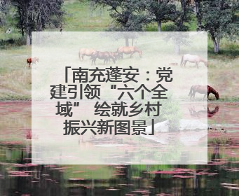 南充蓬安：党建引领“六个全域” 绘就乡村振兴新图景
