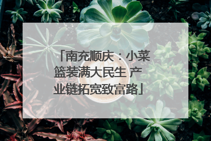 南充顺庆：小菜篮装满大民生 产业链拓宽致富路