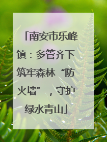 南安市乐峰镇：多管齐下筑牢森林“防火墙”，守护绿水青山