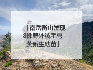 南岳衡山发现8株野外绒毛皂荚新生幼苗