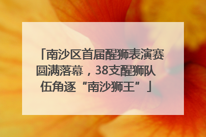 南沙区首届醒狮表演赛圆满落幕，38支醒狮队伍角逐“南沙狮王”