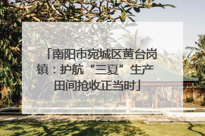 南阳市宛城区黄台岗镇：护航“三夏”生产 田间抢收正当时